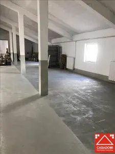 Hala renovata, cu acces rapid la autostrada - foto 13