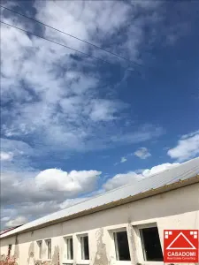Hala renovata, cu acces rapid la autostrada - foto 3