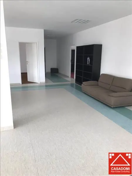 Hala renovata, cu acces rapid la autostrada - foto 4