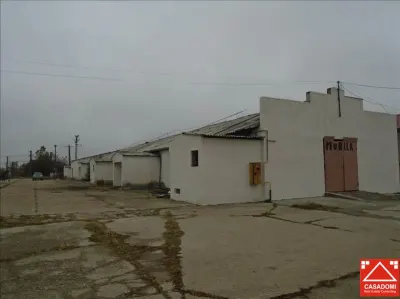 Hala de depozitare, Aradul Nou - Arad