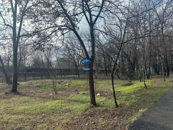 Teren Ploiești - poza 1
