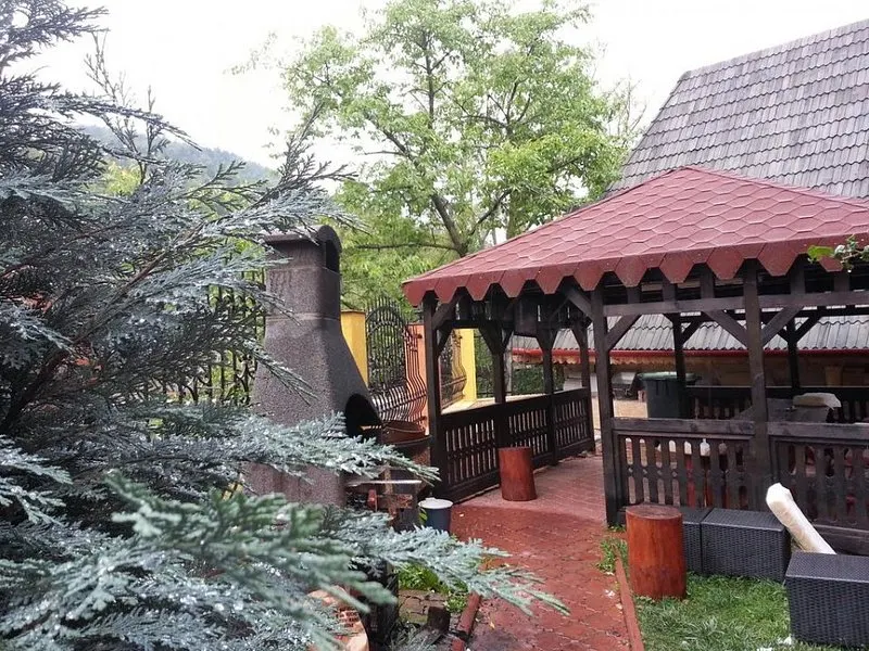 Vila de LUX de vanzare in SINAIA - foto 2
