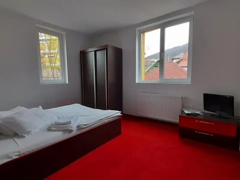 Vila de LUX de vanzare in SINAIA - foto 18