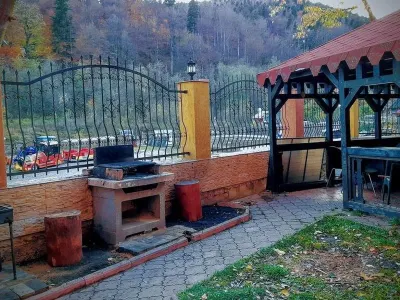 Vila de LUX de vanzare in SINAIA - foto 9
