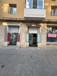 Spatiu comercial 160mp  Str Domneasca Centru - foto 3