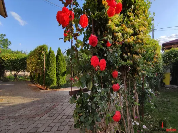 Casă 6 camere București - poza 3