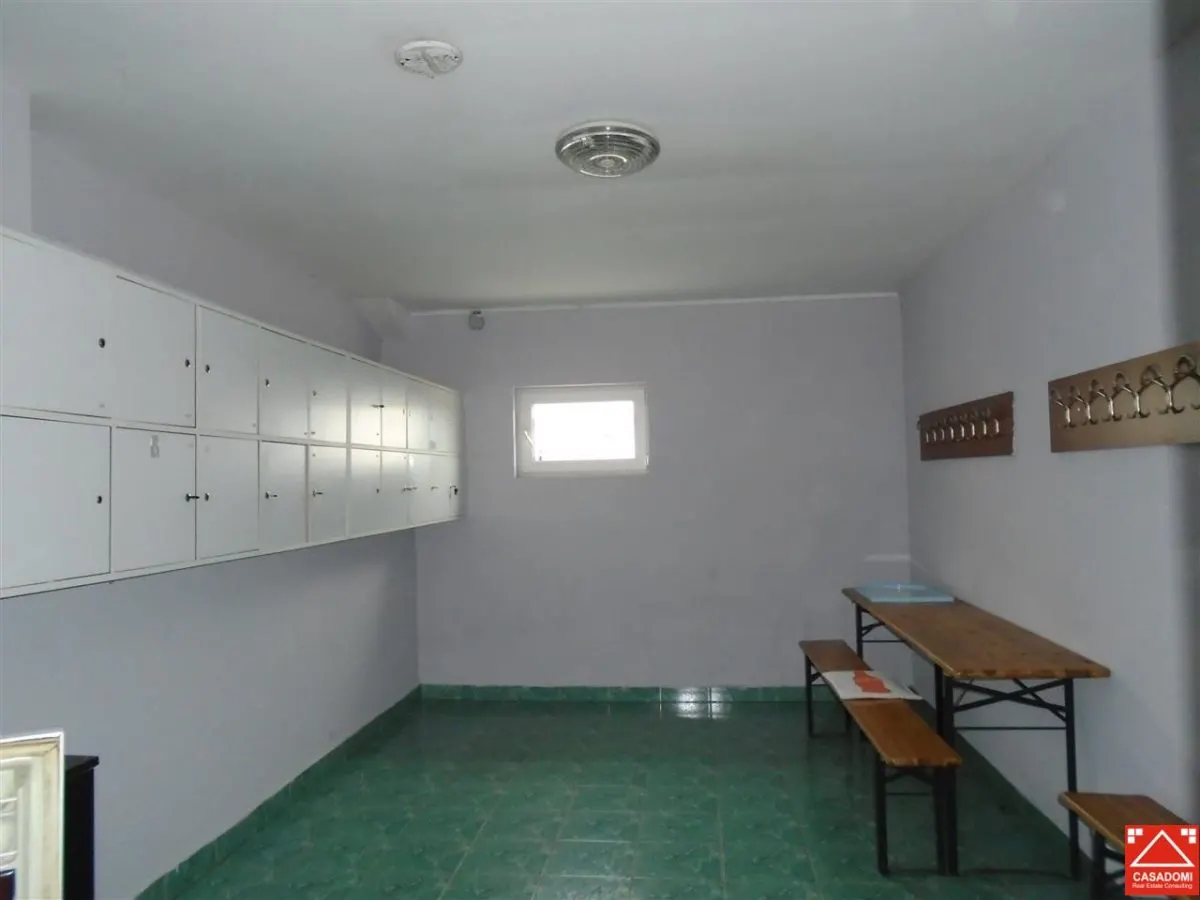 Hala de inchiriat in Aradul Nou - foto 4