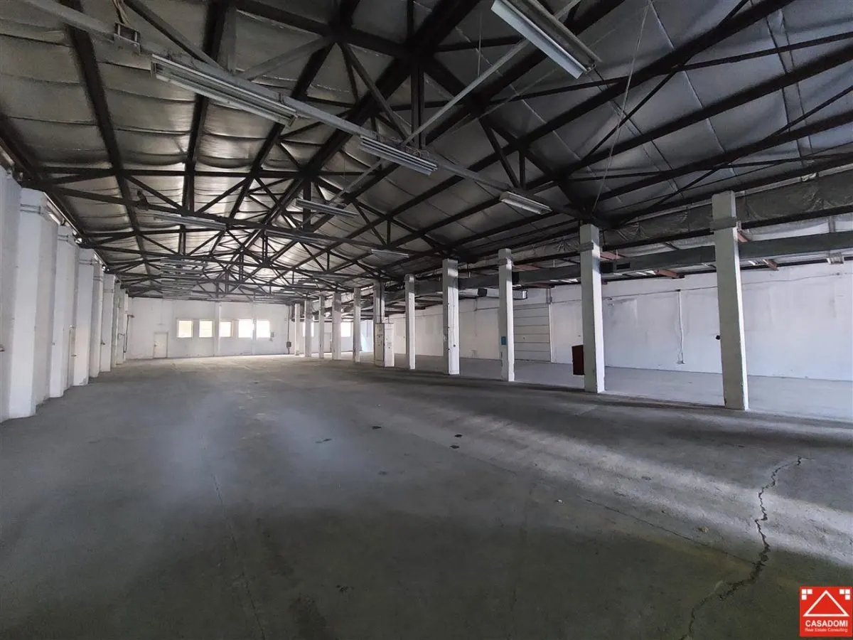 Hala industriala, cu acces din centura - foto 1