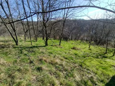 Oravita, Teren Intravilan,  3,2 Euro MP, In Oras, Usor Negociabil - foto 20