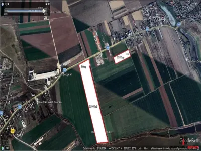 Teren investitie Dascalu / stradal / 63000mp / fs 96ml - Dascalu