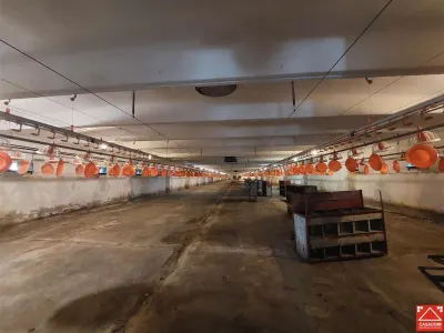 Hale de inchiriat cu acces din centura - foto 7