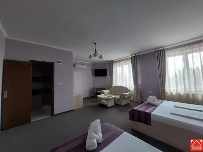 Casa cu 13 camere, pentru activitati diverse, in Micalaca - foto 12
