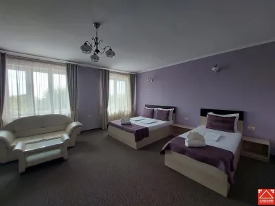 Casa cu 13 camere, pentru activitati diverse, in Micalaca - foto 9