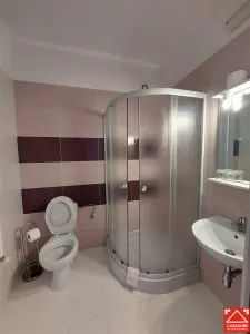 Casa cu 13 camere, pentru activitati diverse, in Micalaca - foto 10
