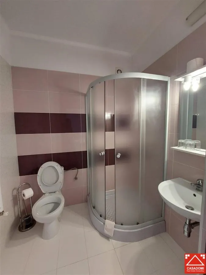 Casa cu 13 camere, pentru activitati diverse, in Micalaca - foto 10