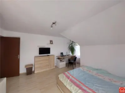 Casa spatioasa la 15 km de Timisoara - foto 14