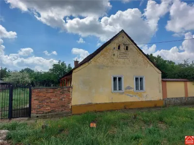Casa veche cu teren mare in Vinga - Vinga