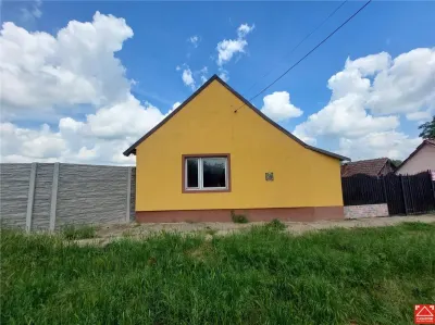 Casa batraneasca in Vinga - Vinga