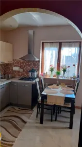 Casa de inchiriat in Centru - Str. Padurii - foto 6