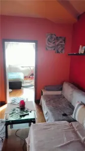 Casa de inchiriat in Centru - Str. Padurii - foto 9