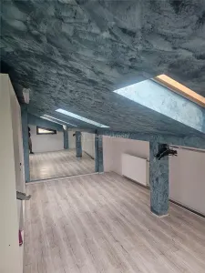 Casa premium de vanzare Parcul Chindia 4 dormitoare teren 500 mp - foto 16