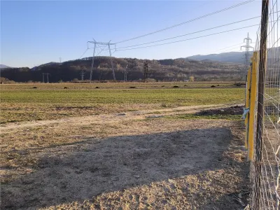 Teren extravilan de vanzare Talmaciu - foto 6