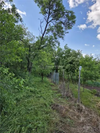 Casă 2 camere Apoldu de Jos - poza 11