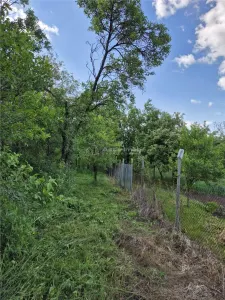 Casă 2 camere Apoldu de Jos - poza 11