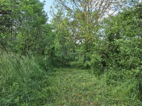 Casă 2 camere Apoldu de Jos - poza 13