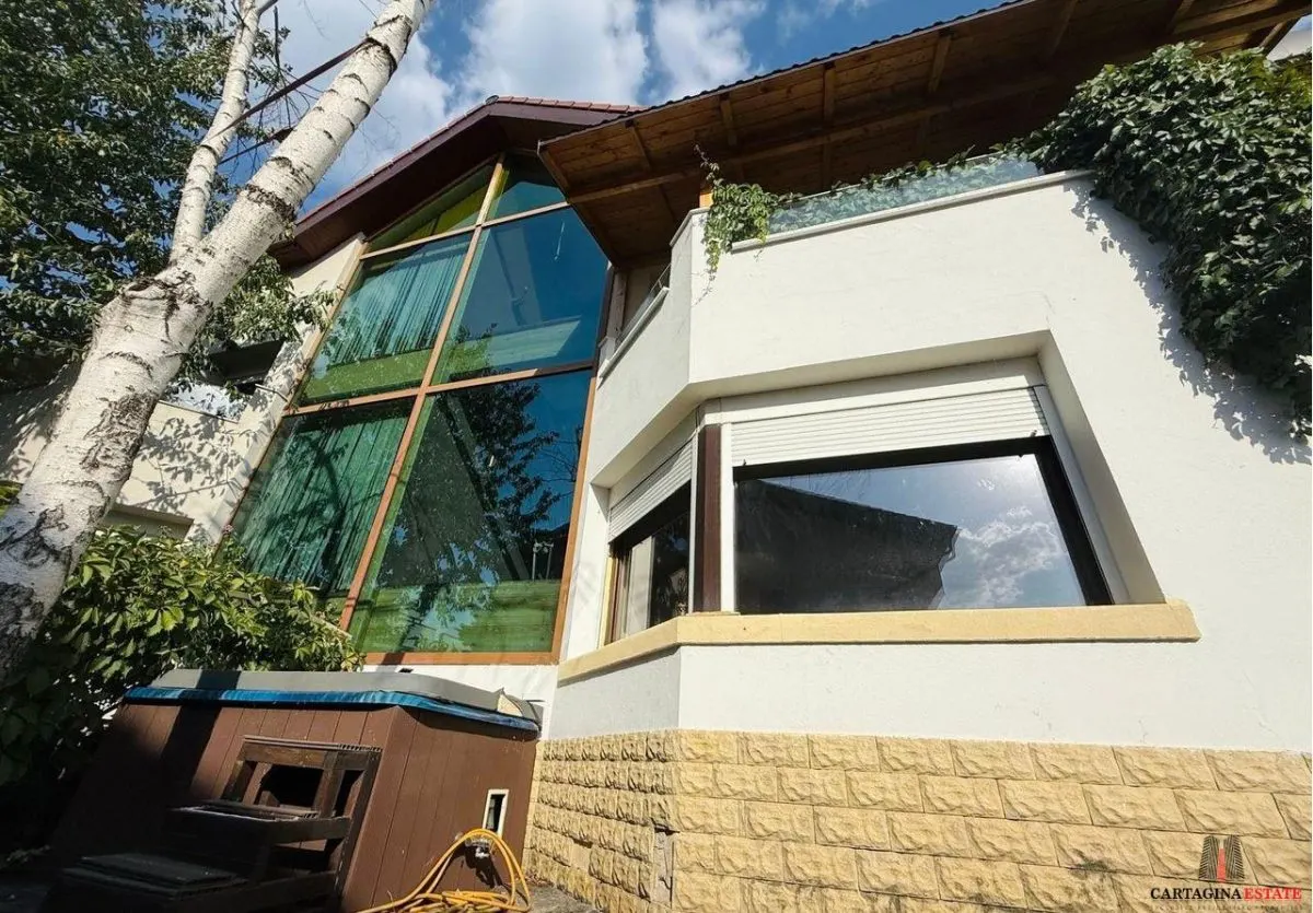 Vilă moderna duplex/complex rezidențial Iancu Nicolae - foto 3