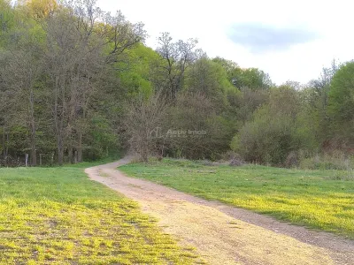 Parcele de vanzare  zona intre iazuri - foto 4