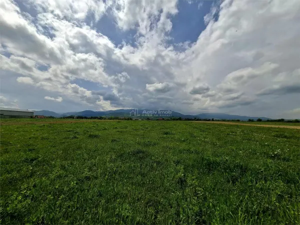 Teren Tălmaciu - poza 2