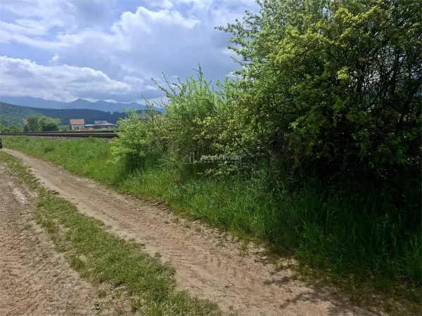 Teren Tălmaciu - poza 4