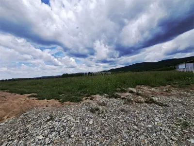 Teren extravilan de vanzare Talmaciu - Talmaciu
