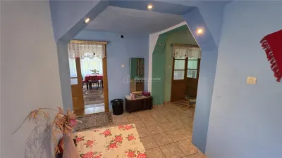 Petrilova | Casa cu 4400MP Teren | 9 Incaperi | ZERO COMISION - foto 47