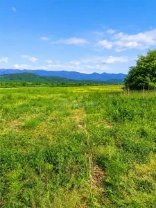 Teren extravilan  de vanzare Talmaciu - Talmaciu