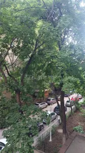 Garsoniera - Strada Tohani - Tineretului - foto 9