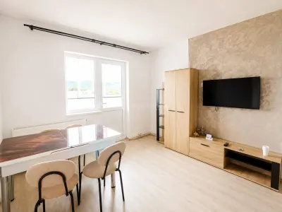 Apartament de vanzare cu 2 camere mobilat - foto 5