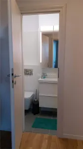 2 Cam Radisson - Calea Victoriei, Cișmigiu, Piata Romana - foto 5