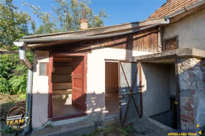 FILM! De vanzare casa traditionala, cu dependinte si facilitati, in Bretcu, Covasna - foto 17