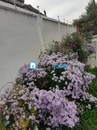 Casă 4 camere Făgăraș - poza 2