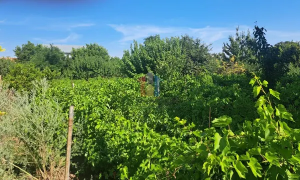 Casă 4 camere Chiscani - poza 4