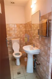 Hala industriala/depozitare+ Birouri,409 mp, acces tir - Dorobantilor - foto 17