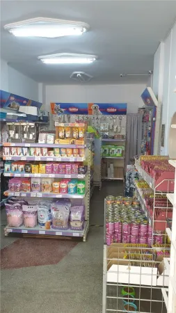 Spațiu comercial Brăila - poza 4