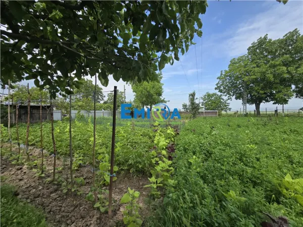 Casă 6 camere Bahna - poza 7
