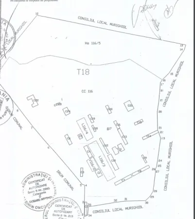 Teren Murighiol - poza 3