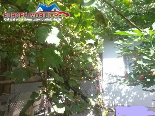 Casă 5 camere Tulcea - poza 6