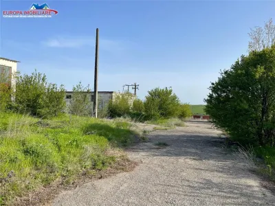 Ferma de vanzare in localitatea Bestepe - foto 11