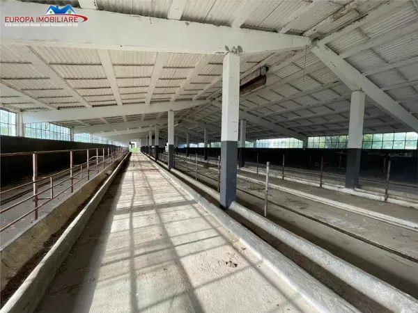 Spațiu industrial Bestepe - poza 12