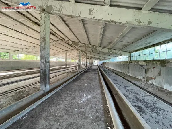 Spațiu industrial Bestepe - poza 15